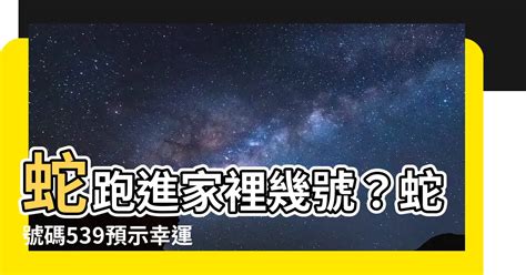 小蛇跑進家裡|【有蛇跑進家裡】驚！有蛇跑進家裡怎麼辦？掌握4個步驟，化險。